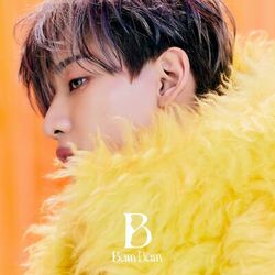 Cover of B