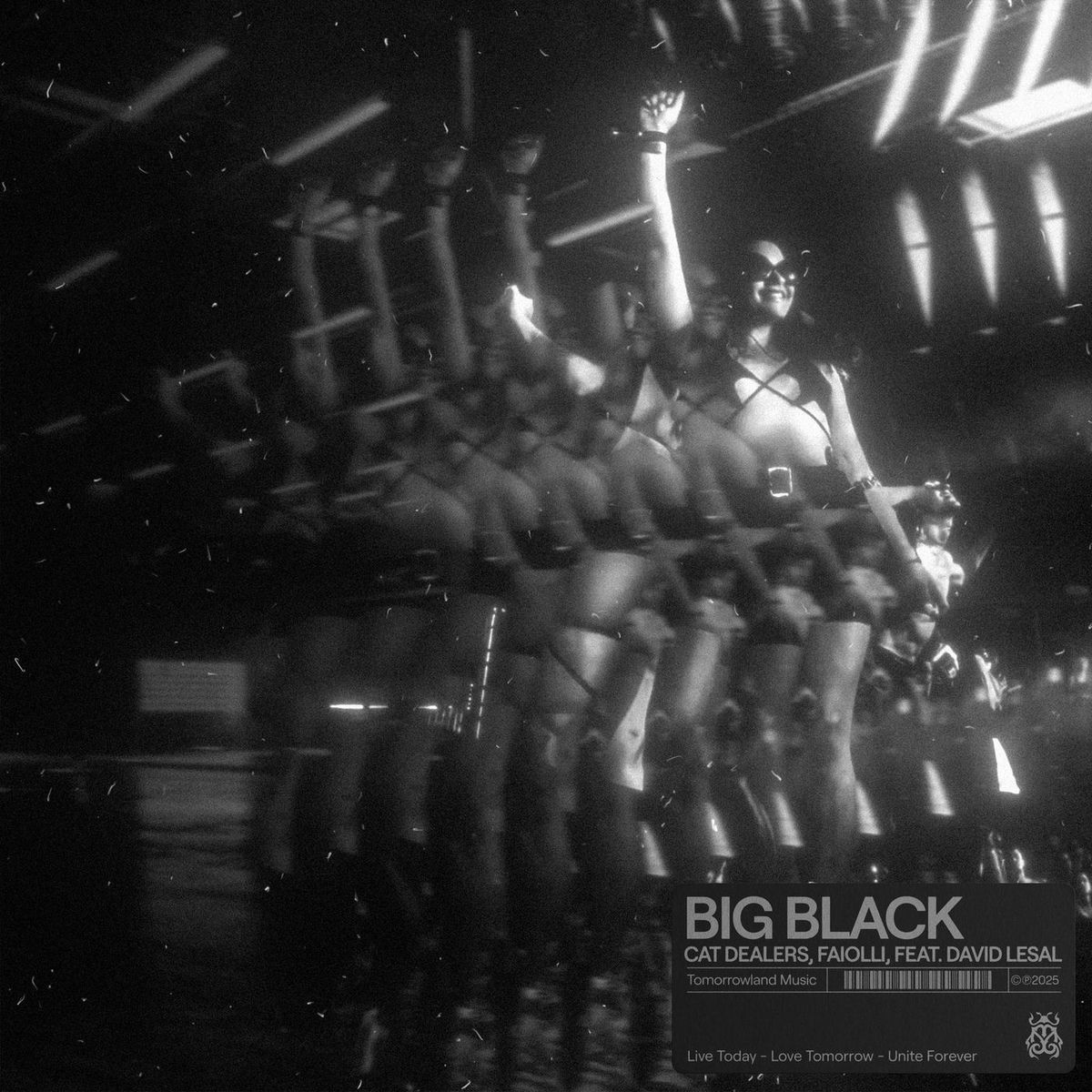 Album cover of Big Black