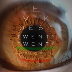 Cover of 20/20