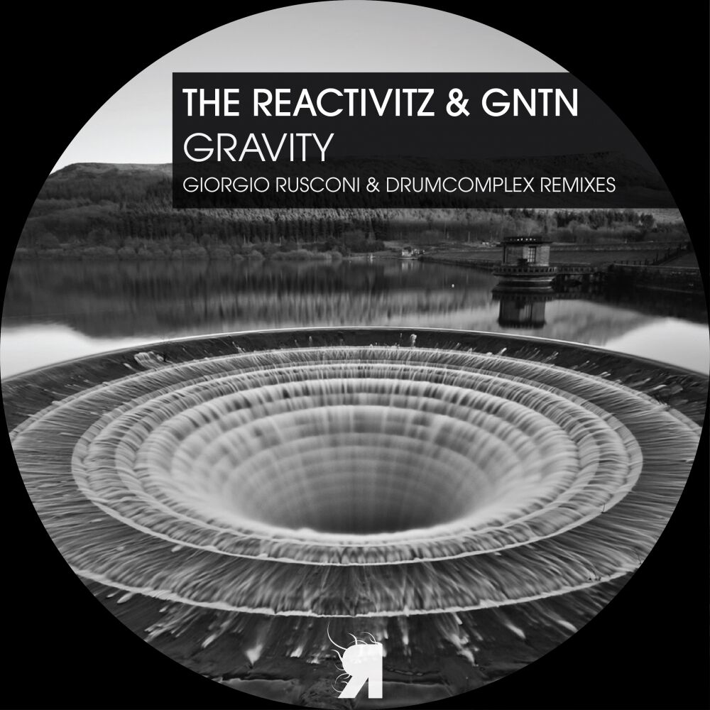 Picture of Gravity