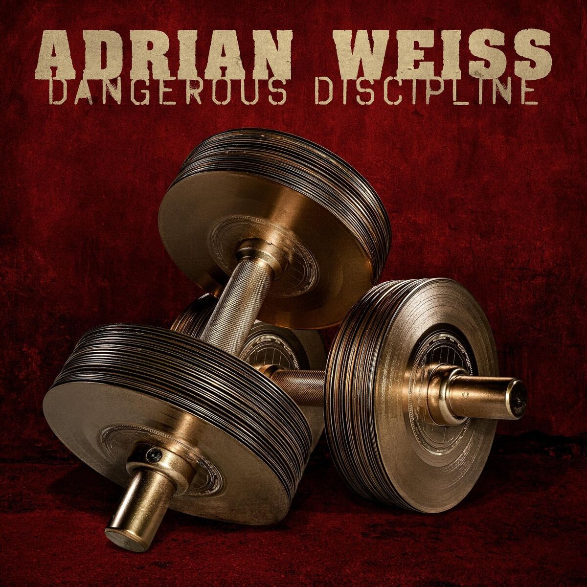Album cover of Dangerous Discipline