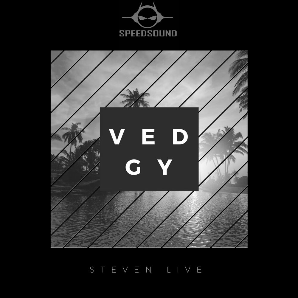 Picture of VEDGY