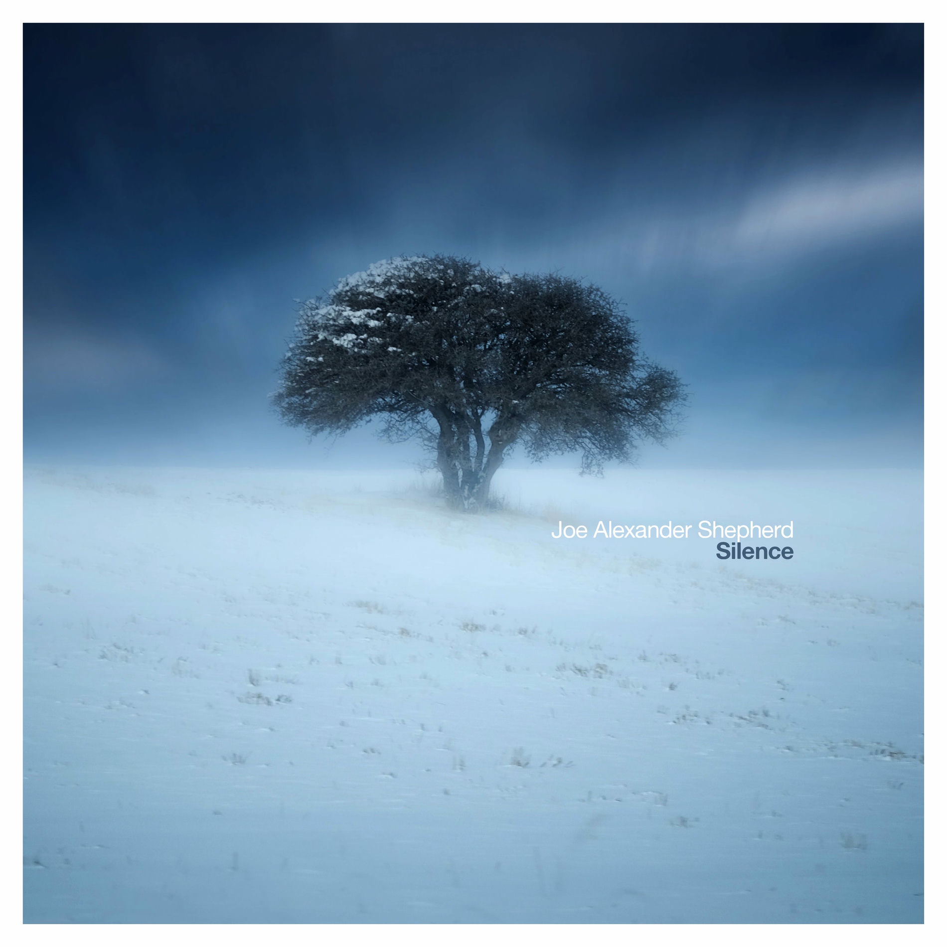 Album cover of Silence