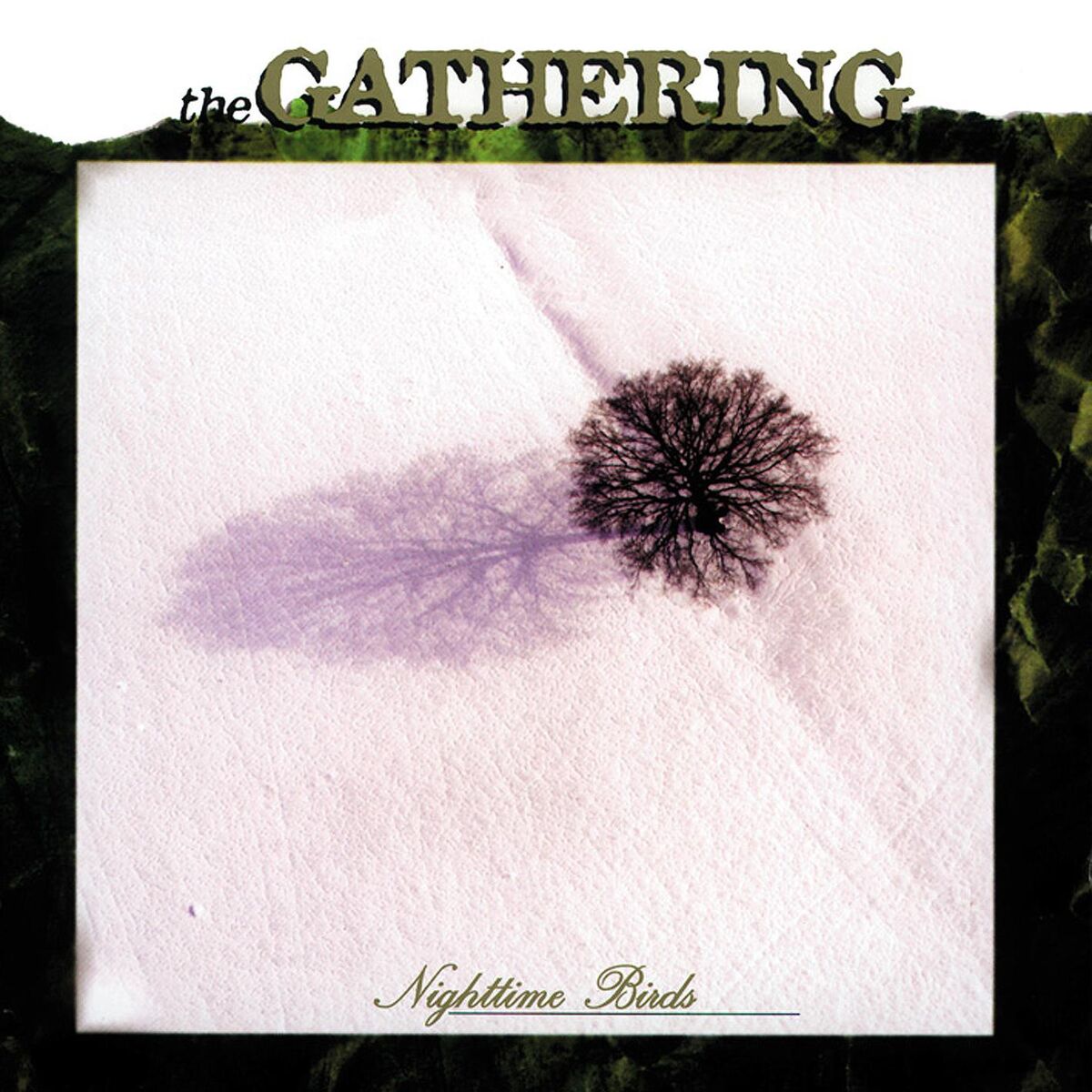 Album cover of On Most Surfaces