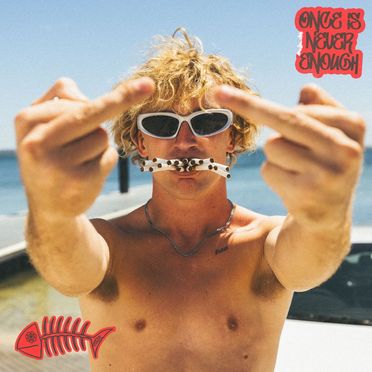 Album cover of Once Is Never Enough