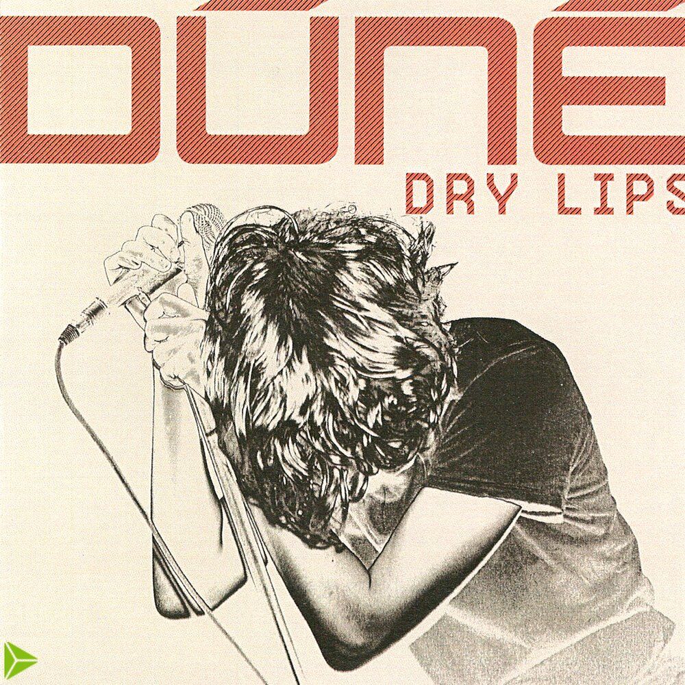 Picture of Dry Lips