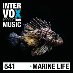Cover of Marine Life