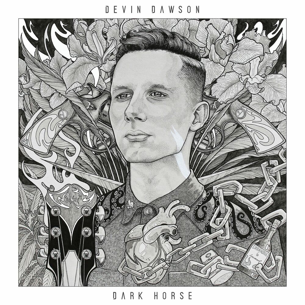 Picture of Dark Horse