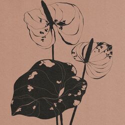 Cover of sprinkles