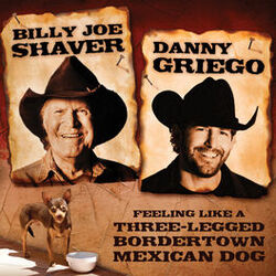 Cover of Feeling Like a Three-Legged BorderTown Mexican Dog