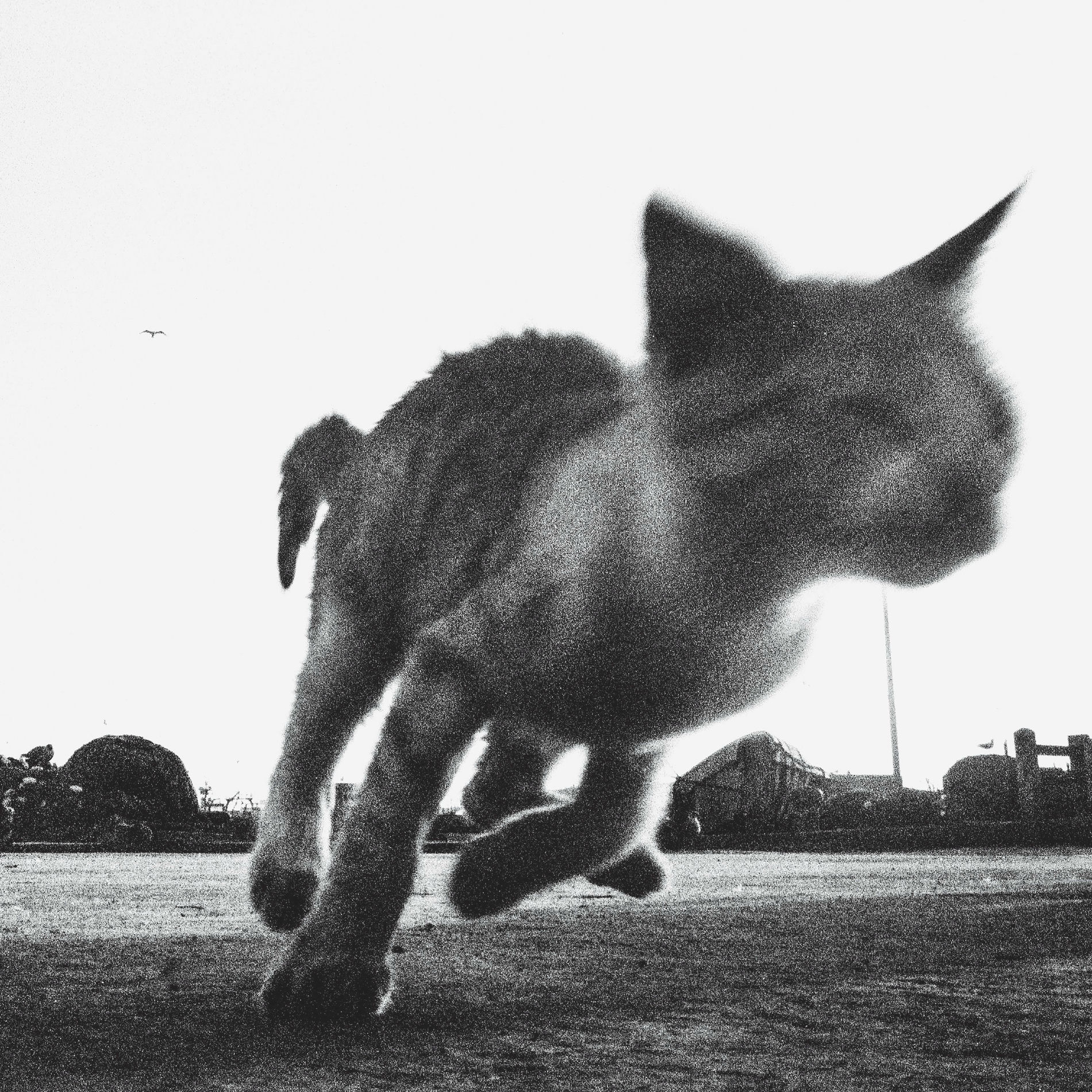 Album cover of Drift