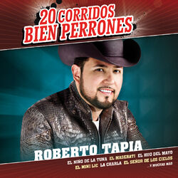 Cover of 20 Corridos Bien Perrones