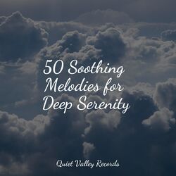 Cover of 50 Soothing Melodies for Deep Serenity