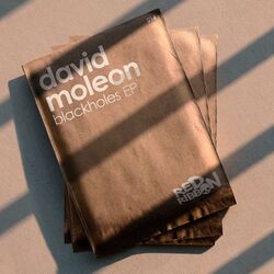 Cover of Blackholes