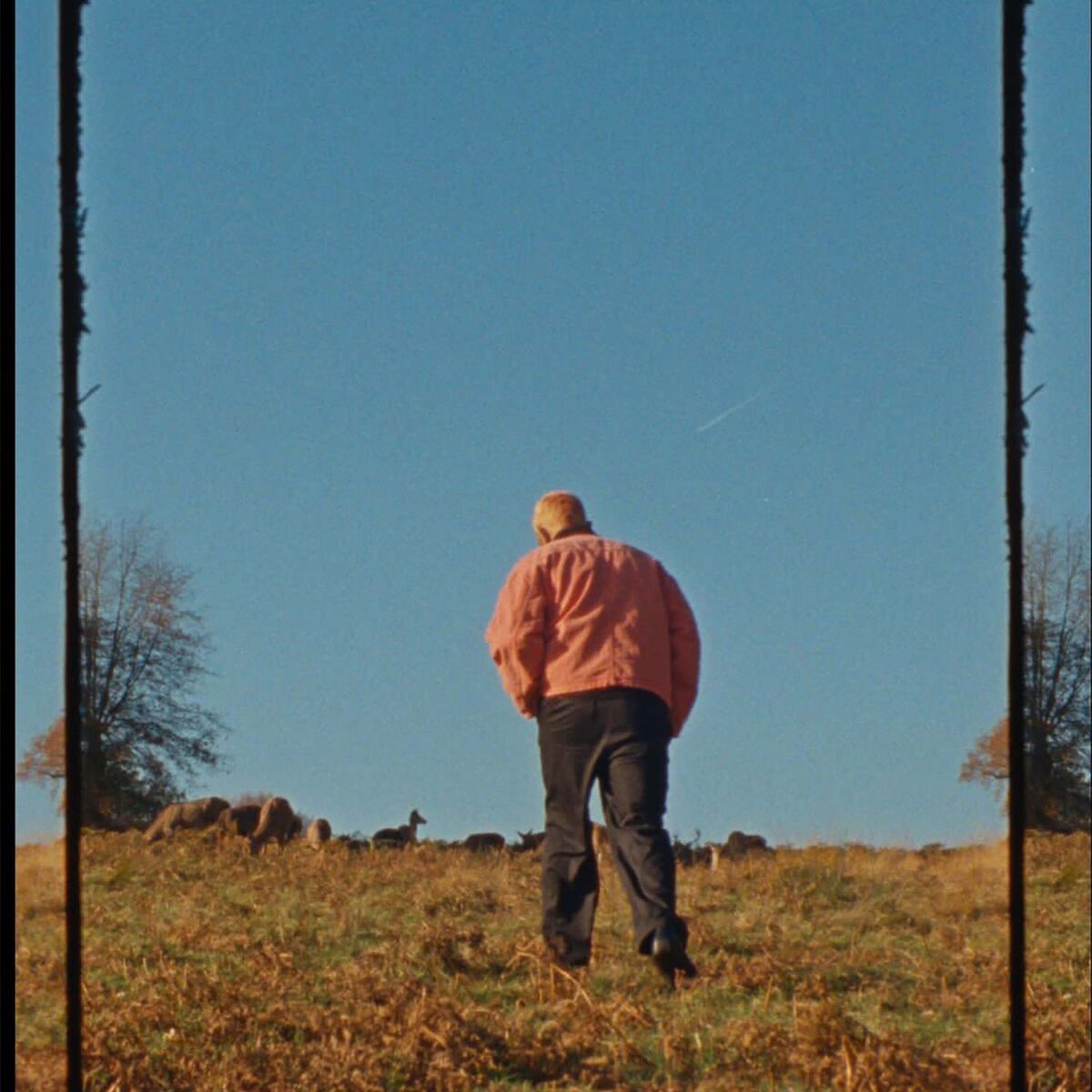Album cover of Nobody (Stripped Version)