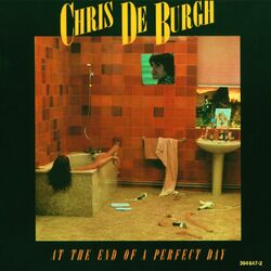 Cover of At The End Of A Perfect Day