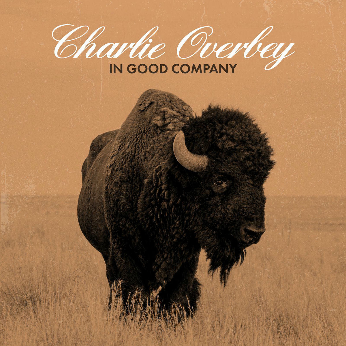 Album cover of In Good Company