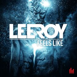 Cover of Feels Like