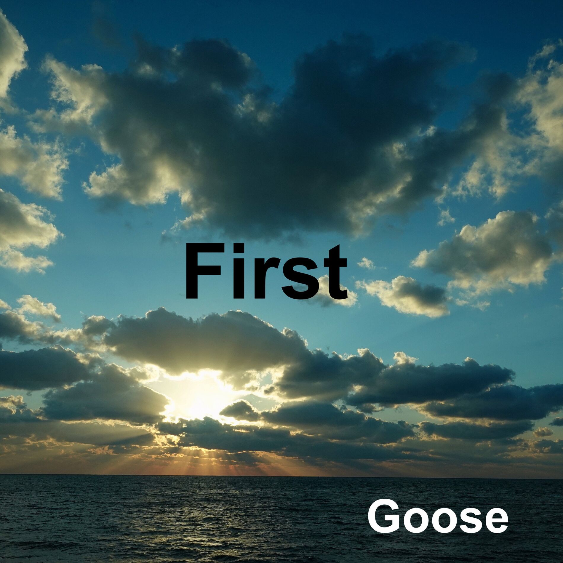 Album cover of First