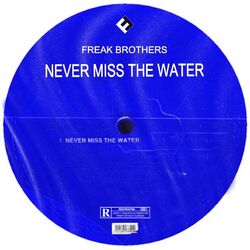 Cover of Never Miss the Water