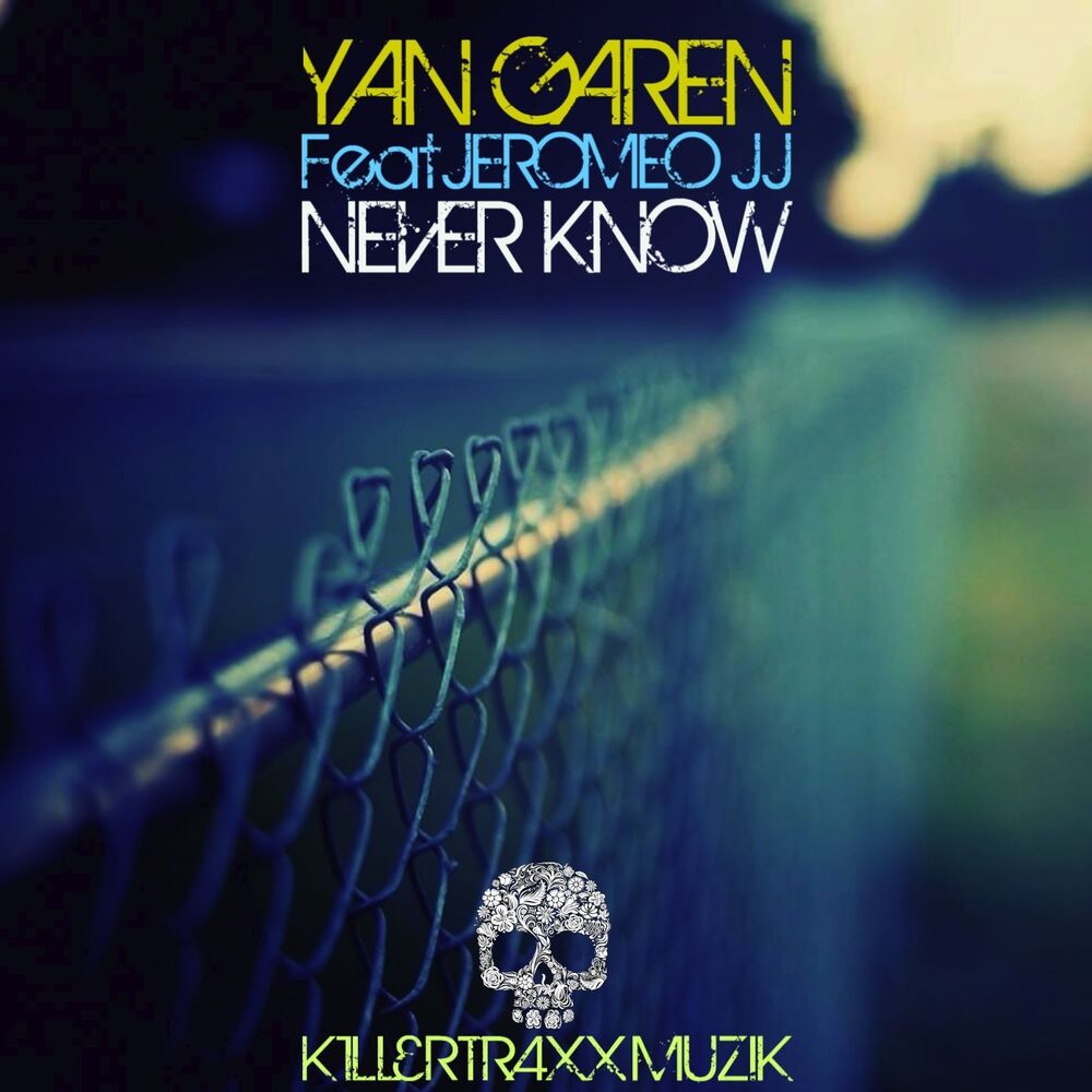 Picture of Never Know