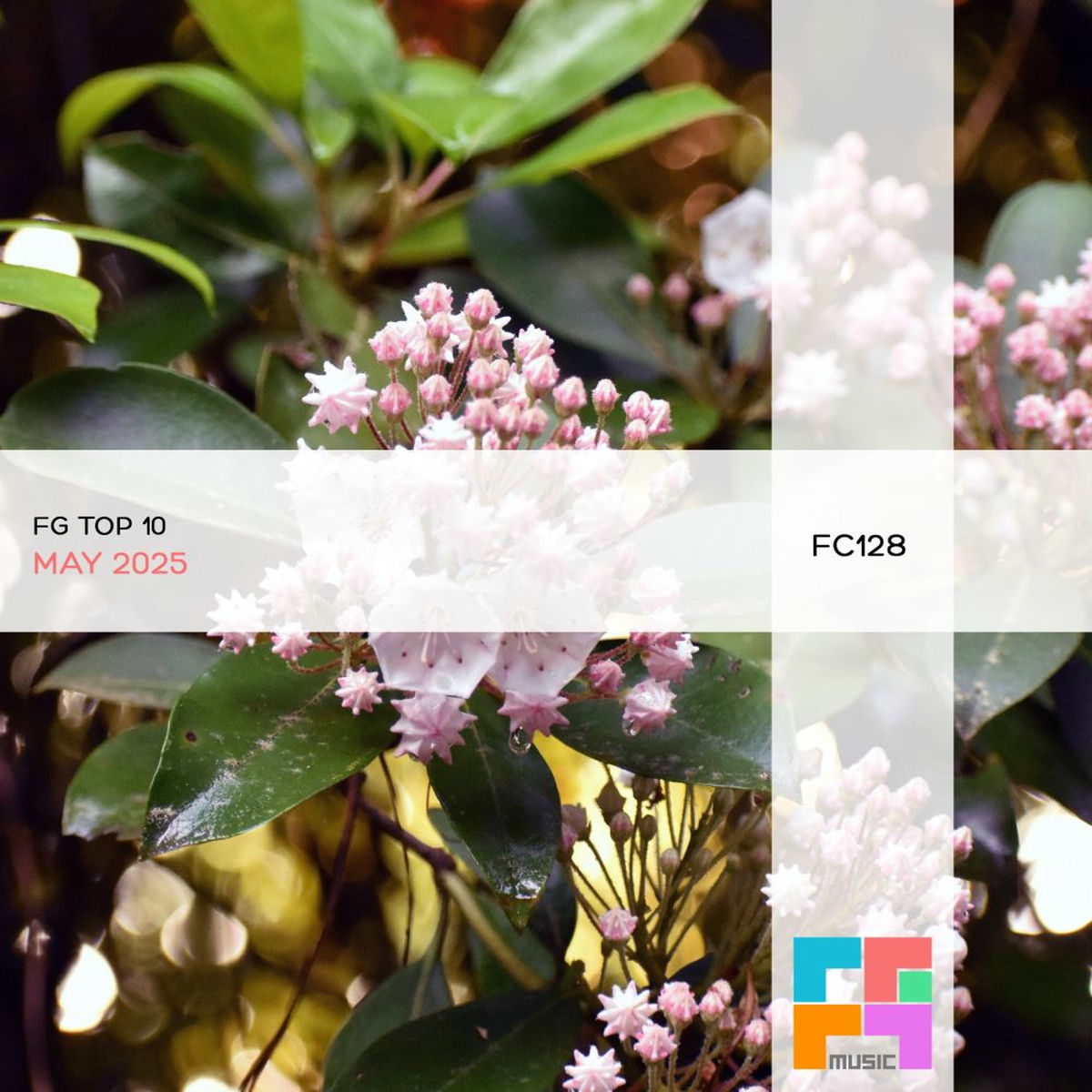 Album cover of FG Top 10: May 2025