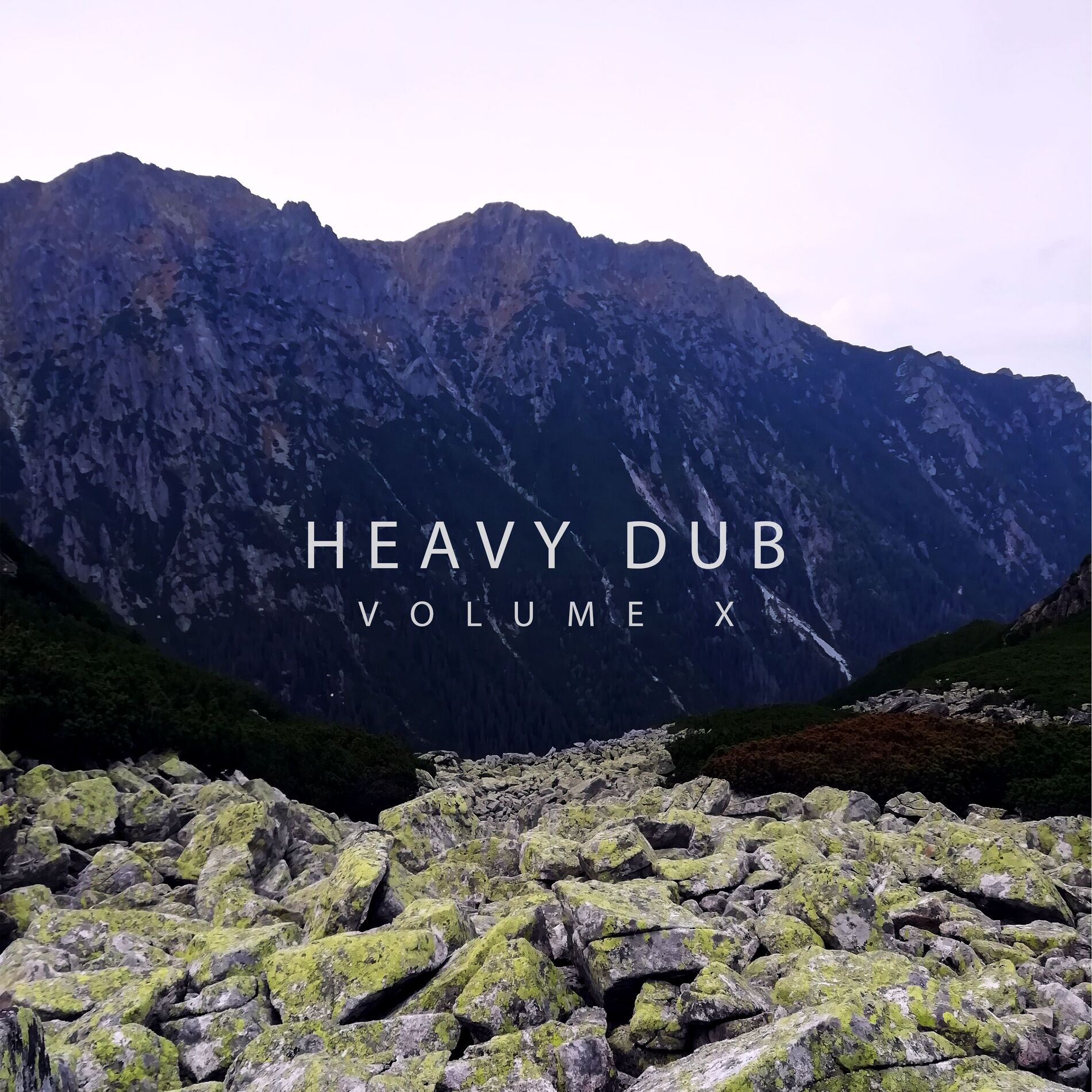 Album cover of Heavy Dub, Vol. 10