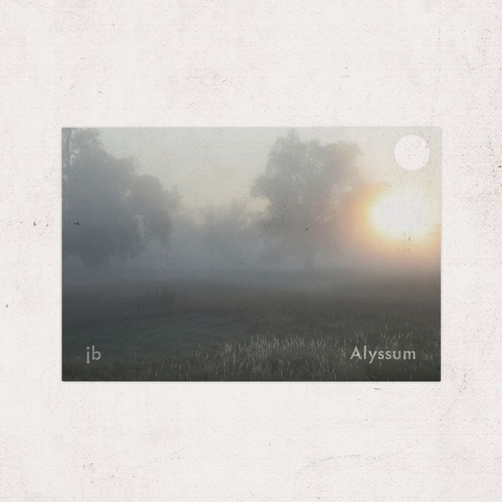 Picture of Alyssum