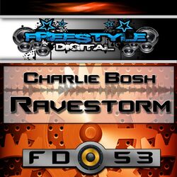 Cover of Ravestorm