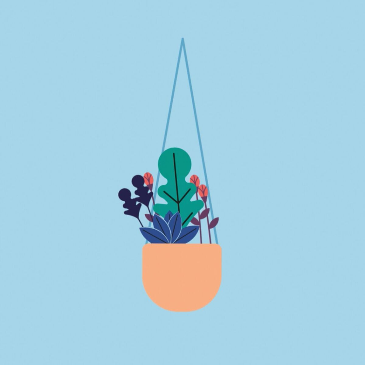 Album cover of Mornings