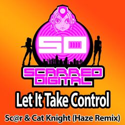Cover of Let It Take Control (Haze Remix)
