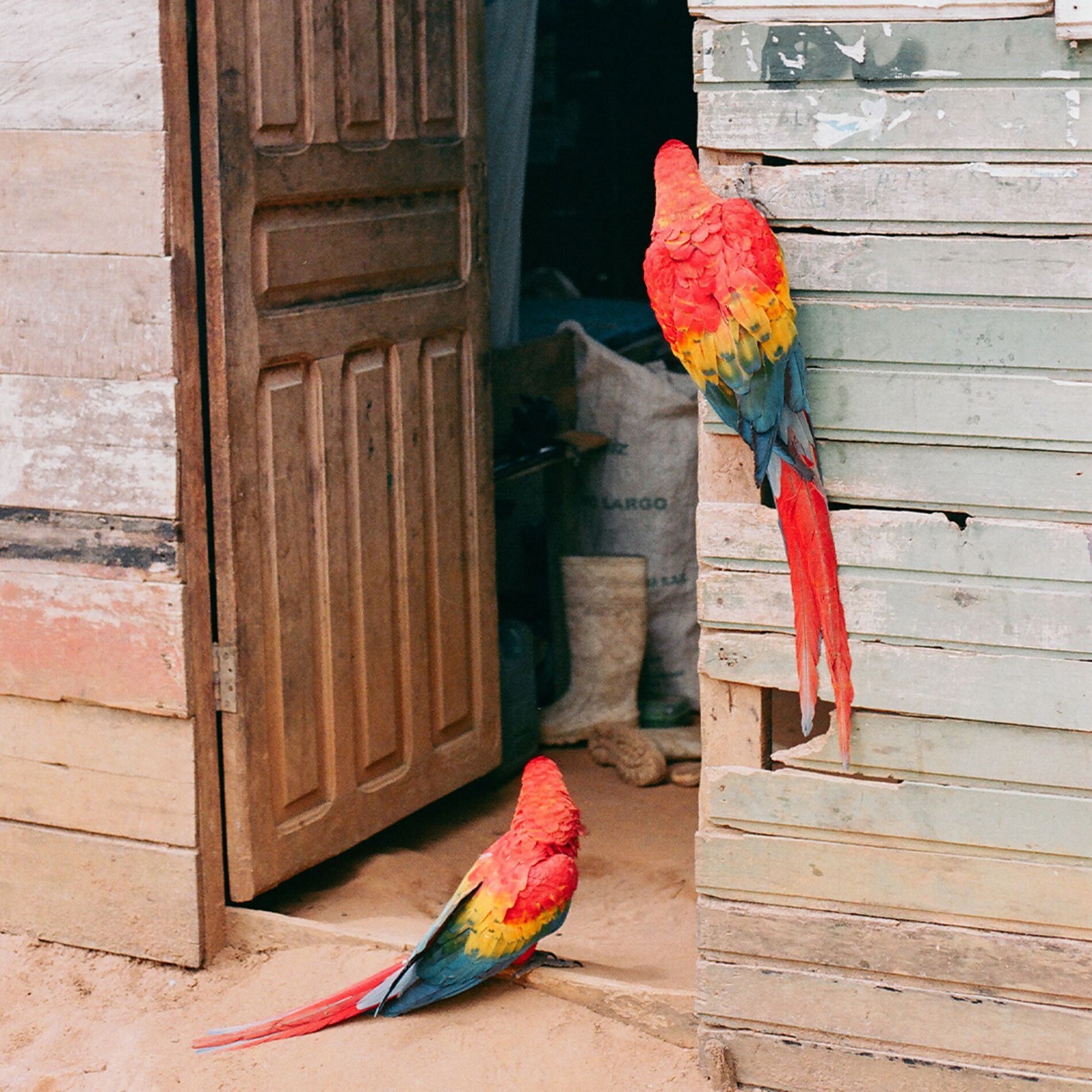 Album cover of Nada