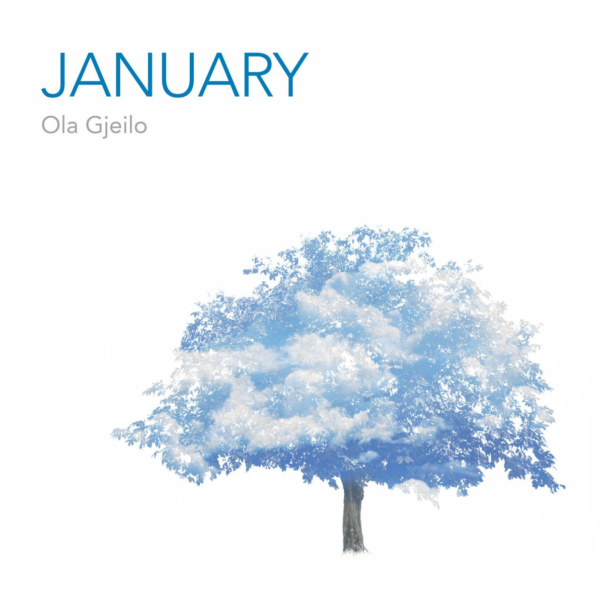 Album cover of Gjeilo: January