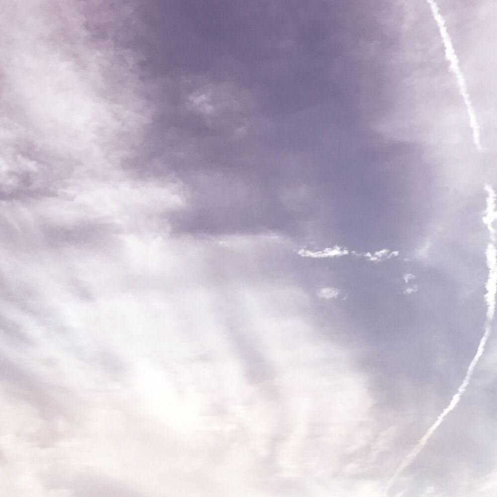 Picture of 001
