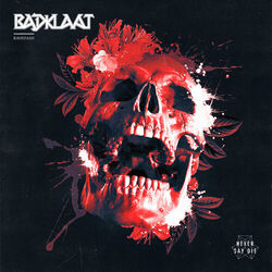 Cover of Ravedash