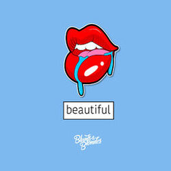 Cover of Beautiful