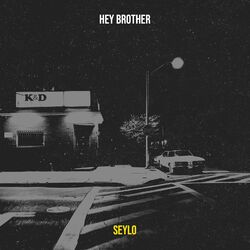 Cover of Hey Brother