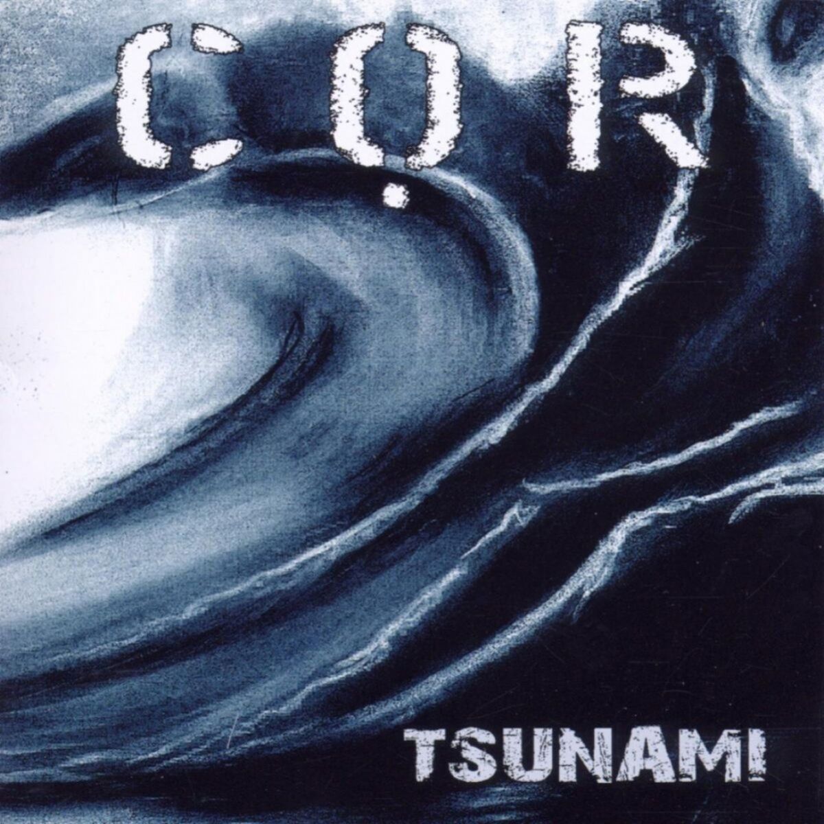 Album cover of Tsunami