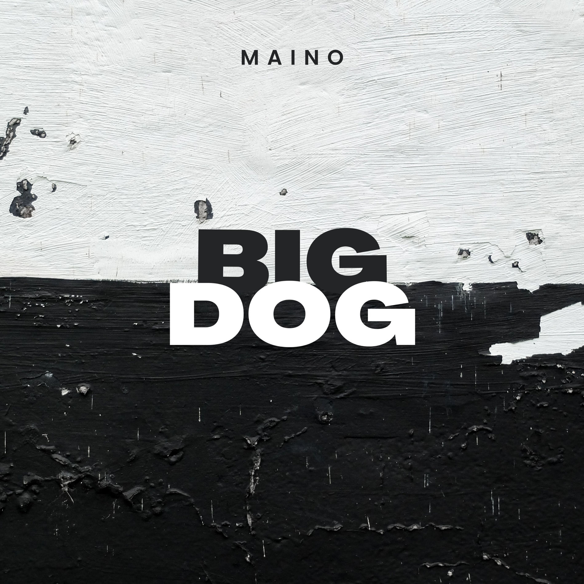 Album cover of Big Dog