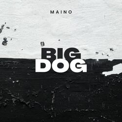 Cover of Big Dog
