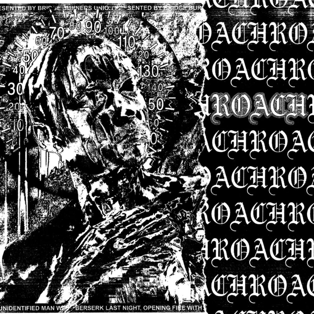 Picture of Roach