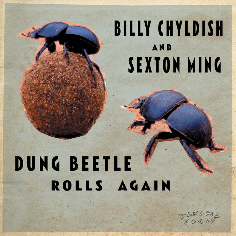 Picture of Dung Beetle Rolls Again