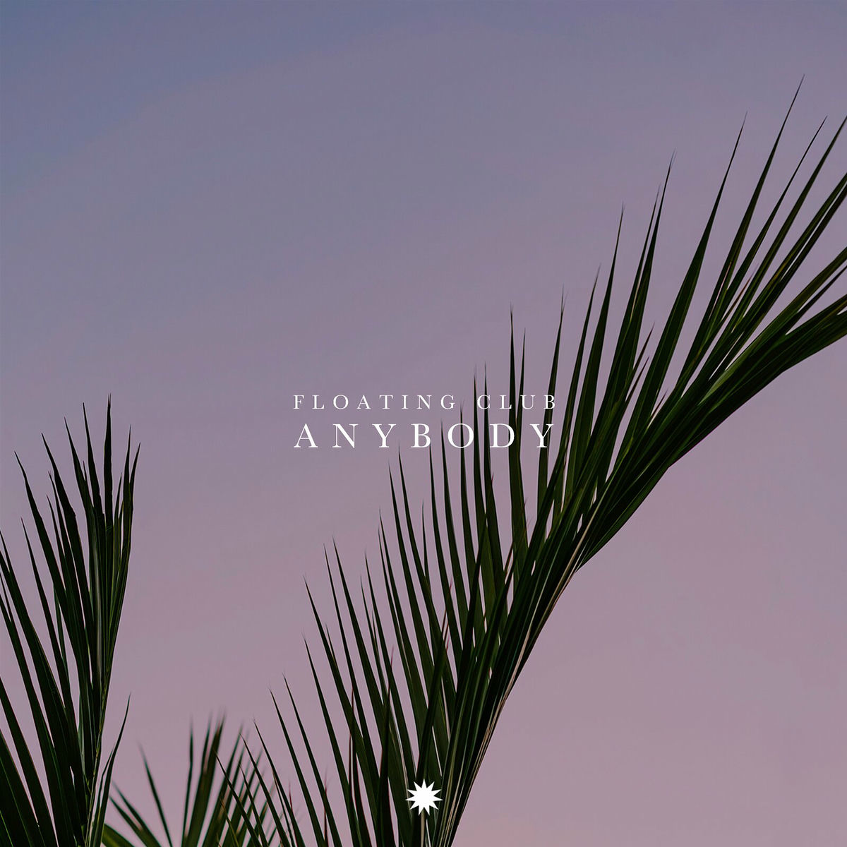 Album cover of Anybody