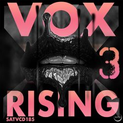 Cover of VOX RISING III