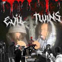 Cover of Evil Twins
