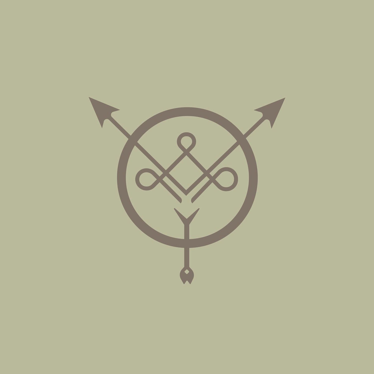 Album cover of Camarada Errante