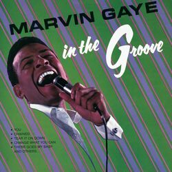 Cover of In The Groove