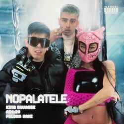 Cover of NOPALATELE