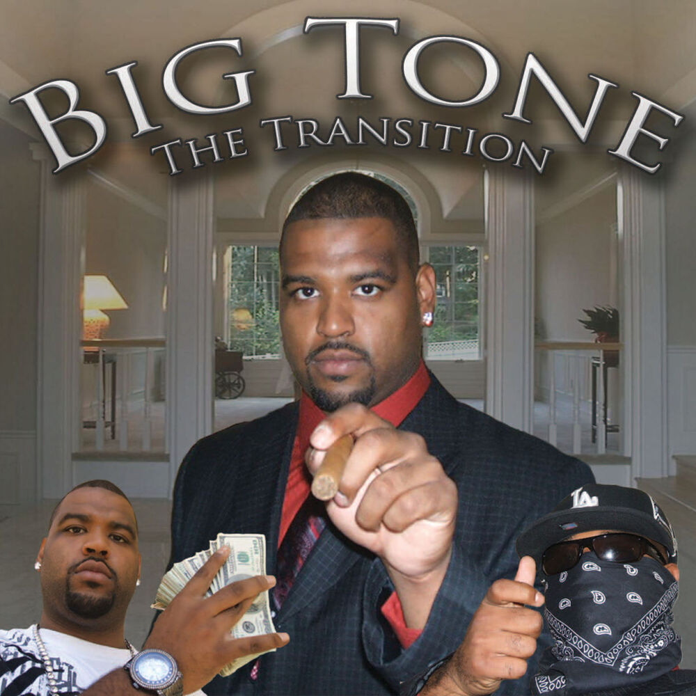 Picture of The Transition LP