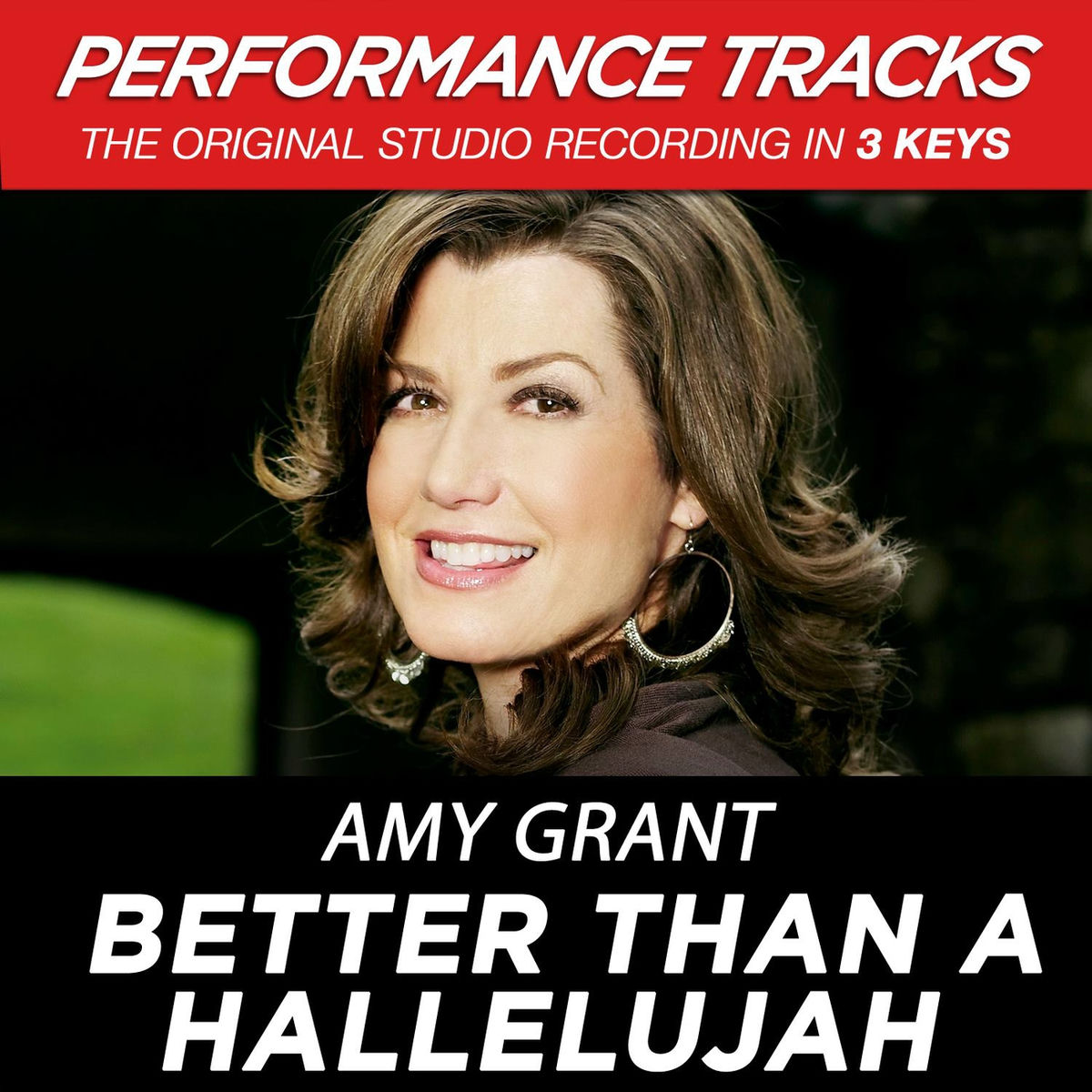 Album cover of Better Than A Hallelujah (Performance Tracks)